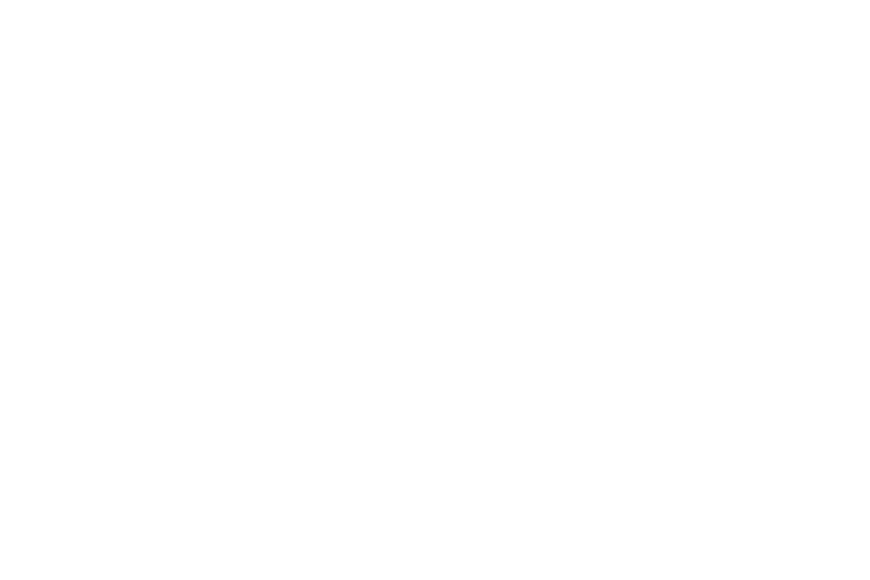Endust