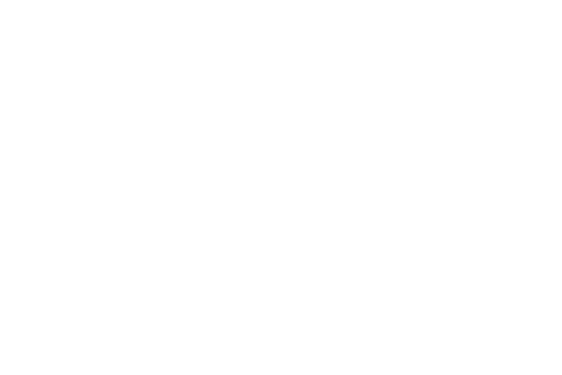Netrix